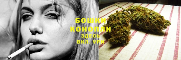 прущие крисы Богданович