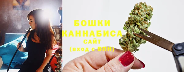 стаф Богородицк