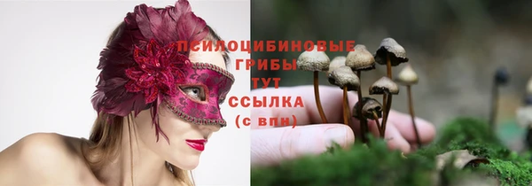 PSILOCYBIN Бугульма