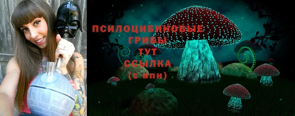 герыч Богородск