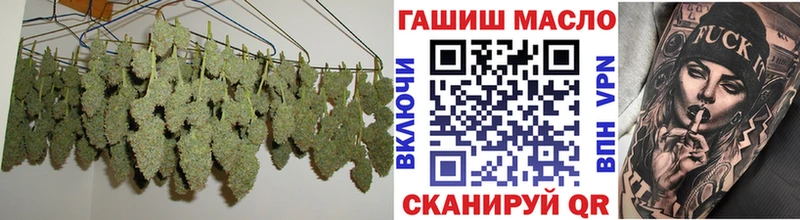 KRAKEN ТОР  Гатчина  Дистиллят ТГК вейп  что такое наркотик 