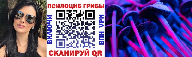 Галлюциногенные грибы прущие грибы  Гатчина 