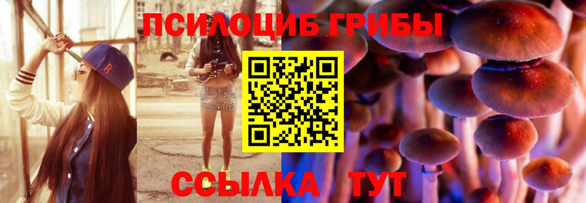 Гатчина  Галлюциногенные грибы ЛСД  Вход с VPN 