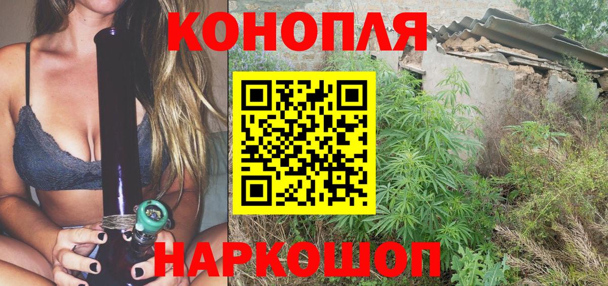 Гатчина  Каннабис планчик  Канабис Bruce Banner  Бошки марихуана сатива  Вход с VPN 